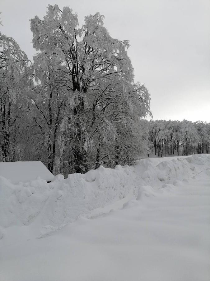 Guest House "Visnja" Zabljak  Luaran gambar
